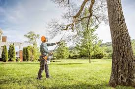 Lawn Irrigation Installation and Maintenance in View Park Windsor Hills, CA